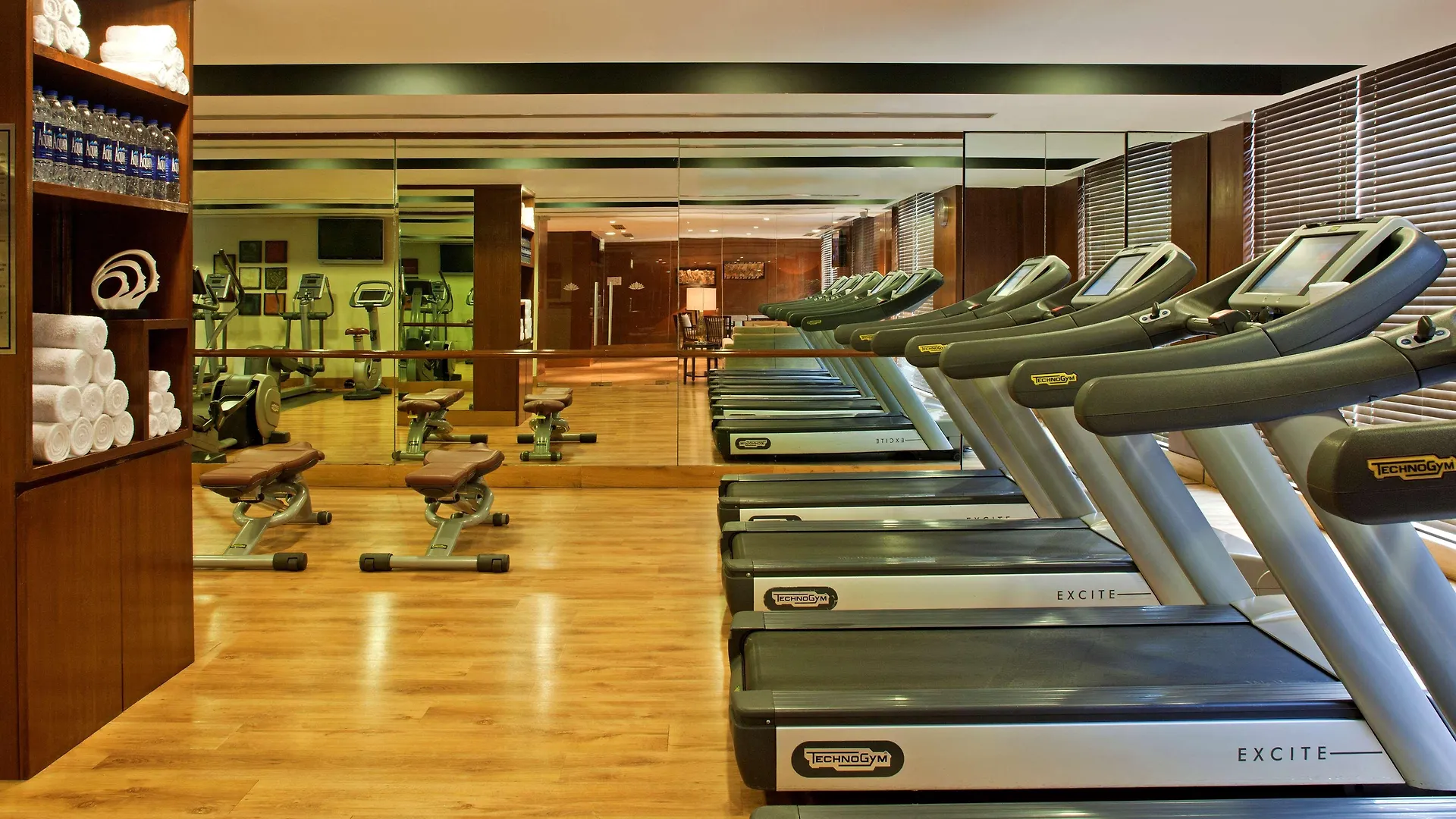 *****  Radisson Blu Plaza Delhi Airport Hotel New Delhi India