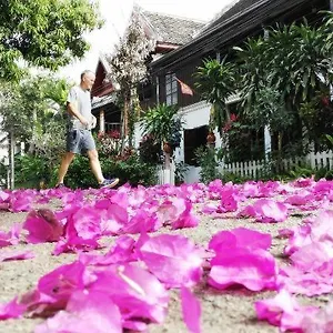  Bed & Breakfast Lotus Corner - Heritage Laos